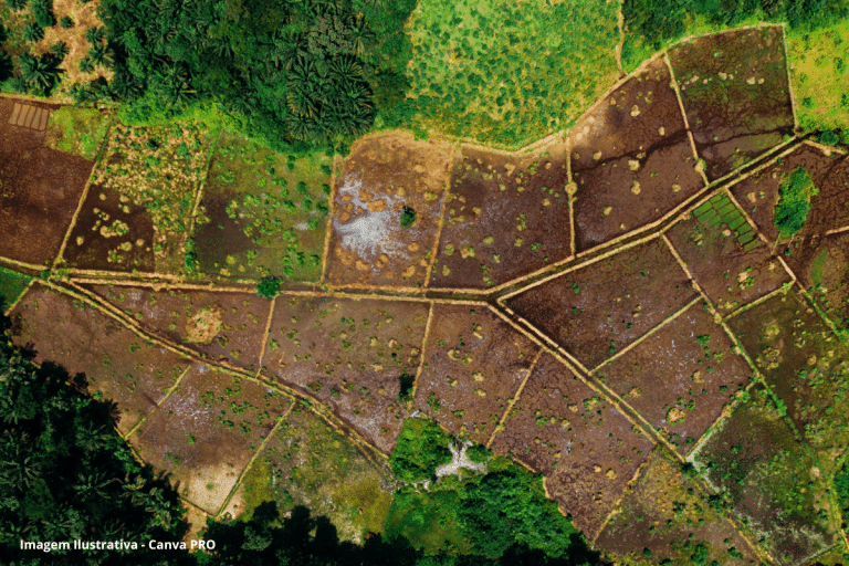 terras degradadas