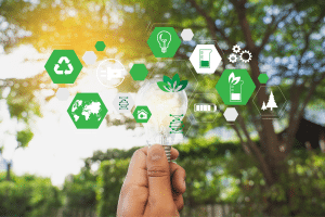 A biomassa pode liderar transição energética no Brasil?