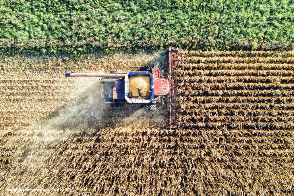 Agronegócio responde por 29% da energia renovável no Brasil