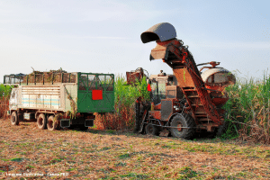 Bioenergia já é 30% de toda a matriz energética do Brasil