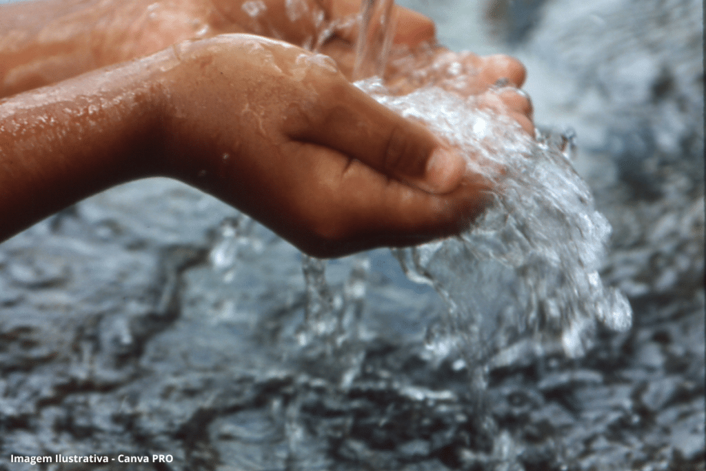 Desenvolvimento de um sistema de tratamento de águas cinzas para reuso não potável