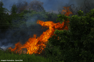 Desmatamento na Amazônia sobe 91% em maio