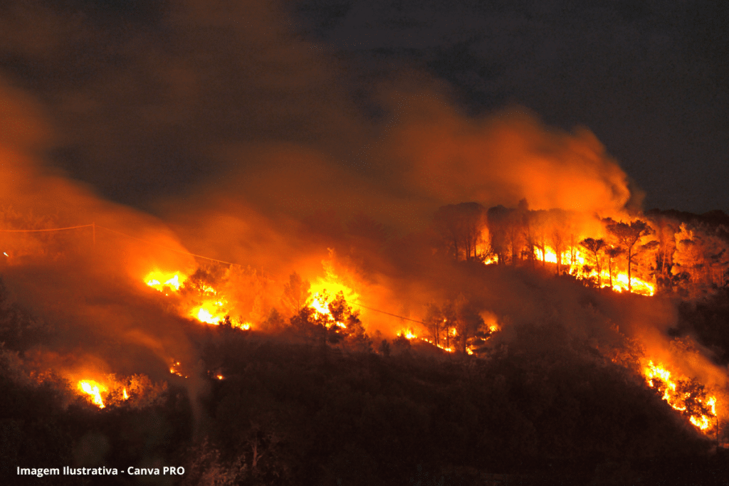 Estudo descobre efeitos ocultos de incêndios florestais em sistemas hídricos
