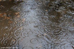 Câmara aprova permissão de uso de fontes alternativas de água