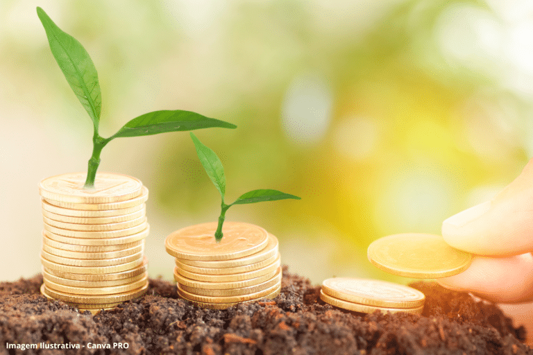 Al Gore: o Brasil é o epicentro e a maior oportunidade de investimento da nova economia verde