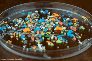 Cientistas encontram microplástico em placentas pela 1ª vez