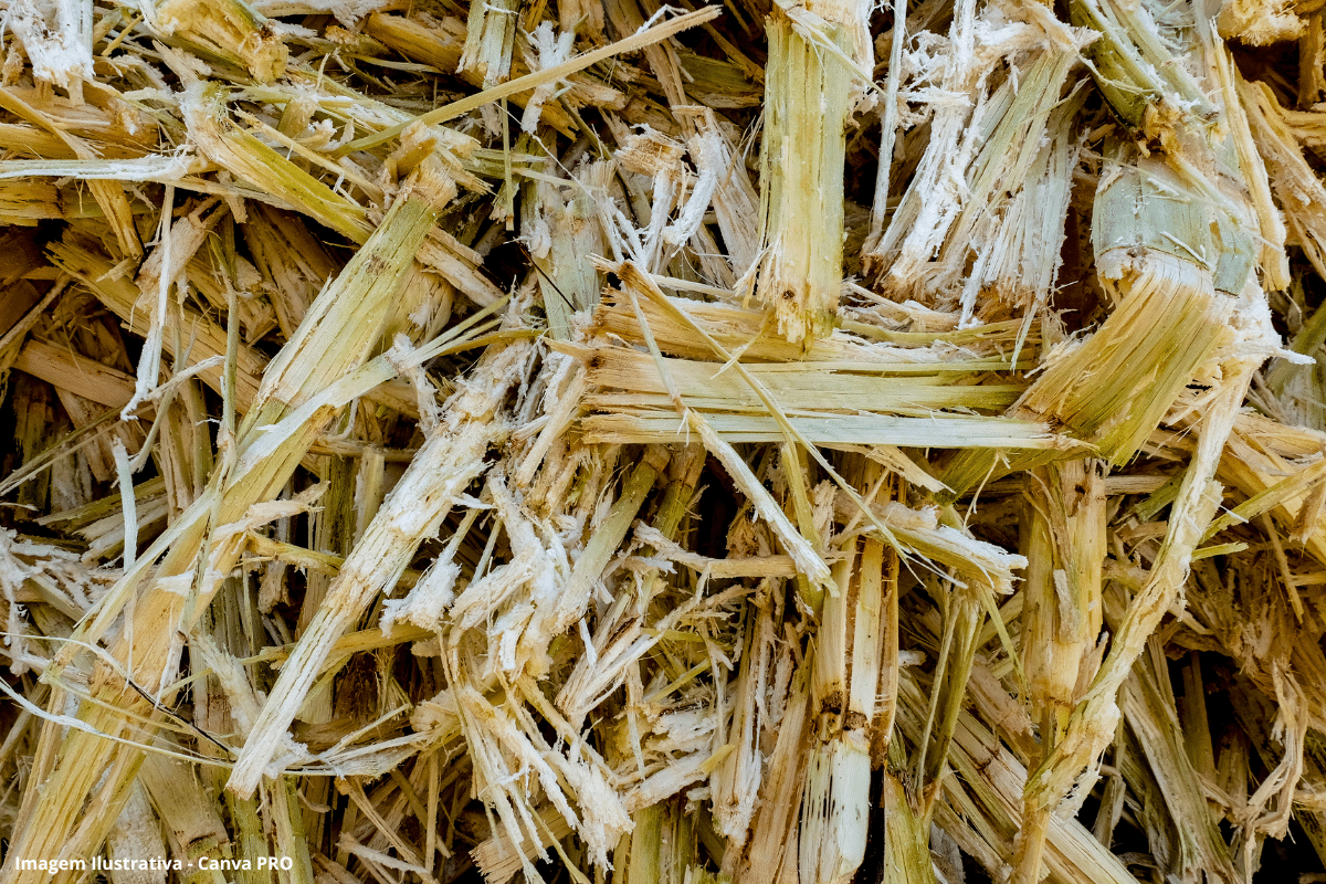 Bagaço de cana vira embalagem que protege equipamentos eletrônicos sensíveis (1)
