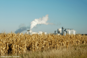 Brasil segundo maior produtor mundial de etanol de milho