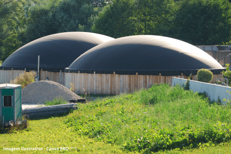 Indústrias do setor de bioenergia faturaram R$ 37,1 bilhões em 2024 no interior de SP, aponta estudo inédito