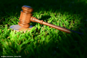 Lula sanciona com 63 vetos a Lei de Licenciamento Ambiental e edita MP que atende Alcolumbre