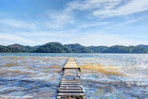 Nível da Billings cai a 33,9% e especialistas apontam risco de nova crise hídrica