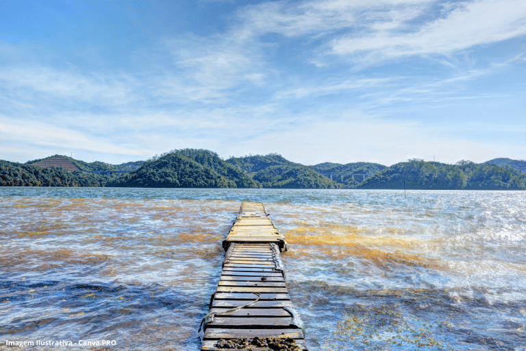 Nível da Billings cai a 33,9% e especialistas apontam risco de nova crise hídrica