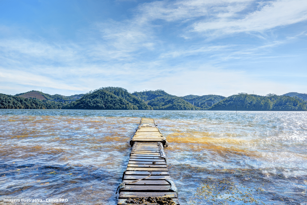 Nível da Billings cai a 33,9% e especialistas apontam risco de nova crise hídrica