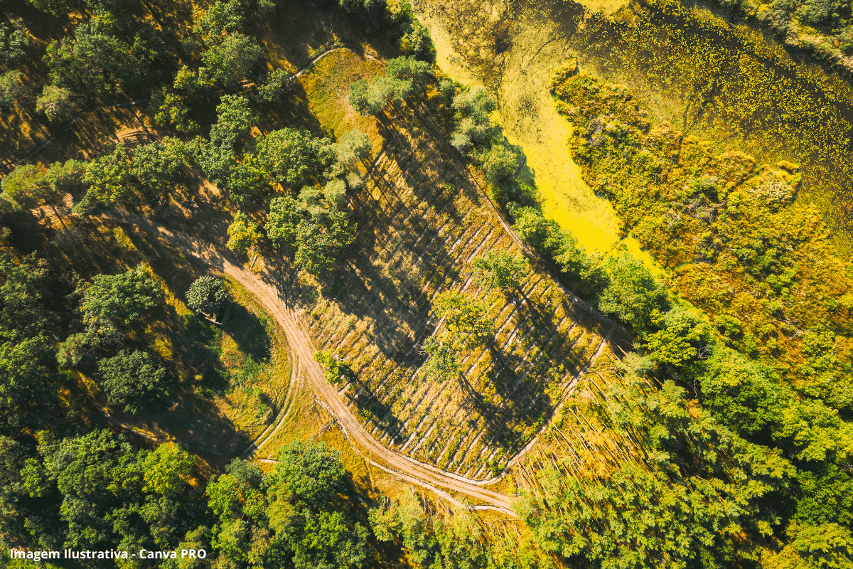restaurar áreas degradadas