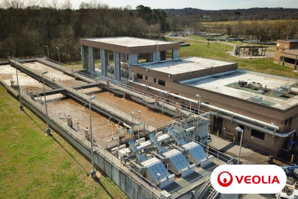 A Sustentabilidade como Vantagem Competitiva no Setor de Celulose e Papel