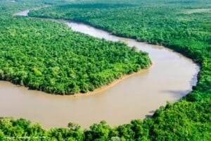 Amazônia perdeu mais de 80% da vegetação nativa
