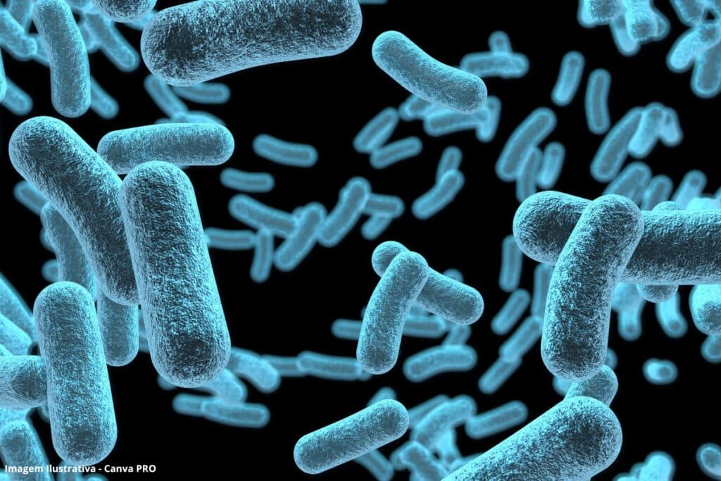 Bactérias luminescentes