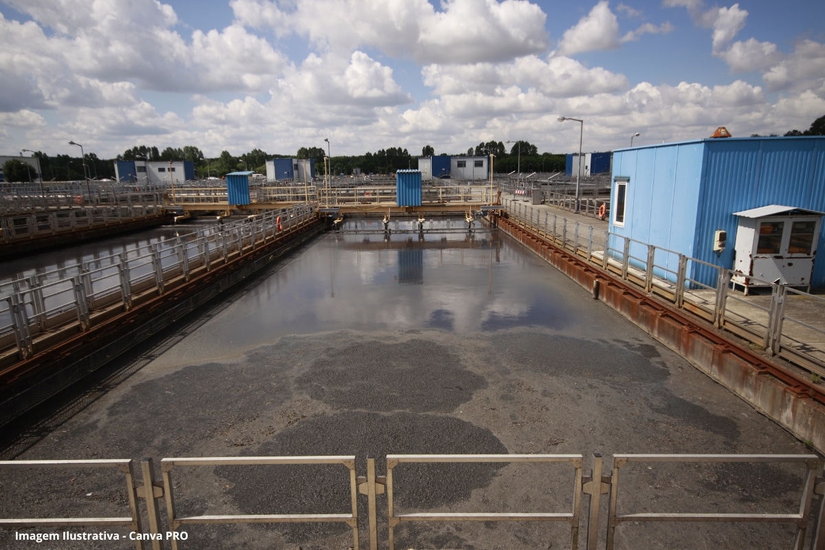 Como lodo de esgoto se transforma em fertilizante natural usado por produtores rurais no estado de SP