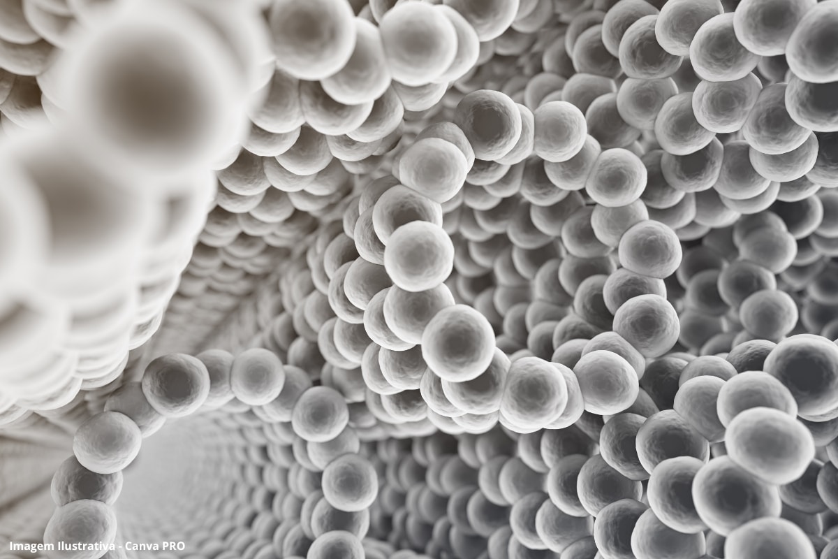 Nanofiltração de hormônios e metais pesados em nanotubos de carbono e de boro por dinâmica molecular