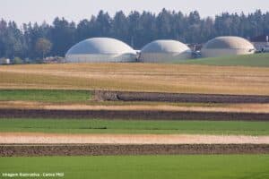 Prata Bioenergia fará investimento de mais de R$ 1 bilhão para construção de usina no triângulo mineiro