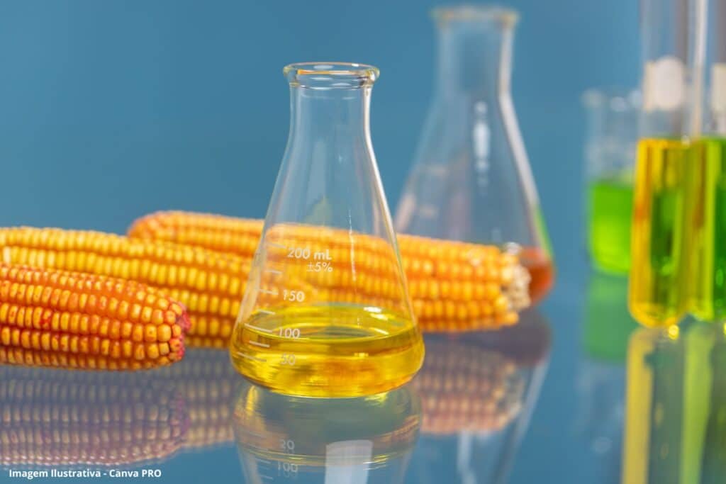 Biocombustíveis tratados com responsabilidade podem ser parte da solução contra as mudanças climáticas