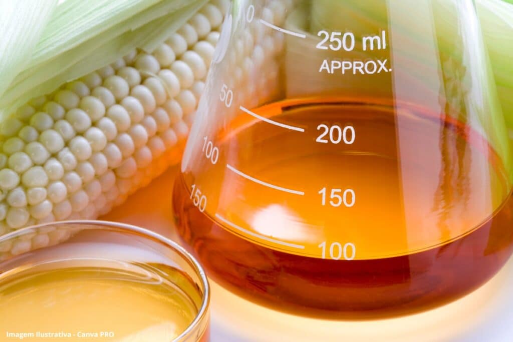 Faculdade de Engenharia Química dá início a um projeto inovador para produção de diesel renovável
