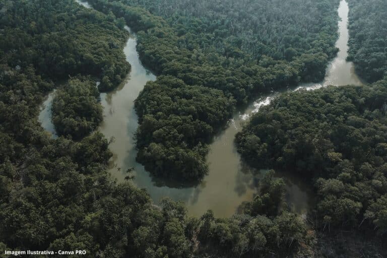 Bolívia substitui Peru como rota de mercúrio ilegal para Amazônia, diz Abin