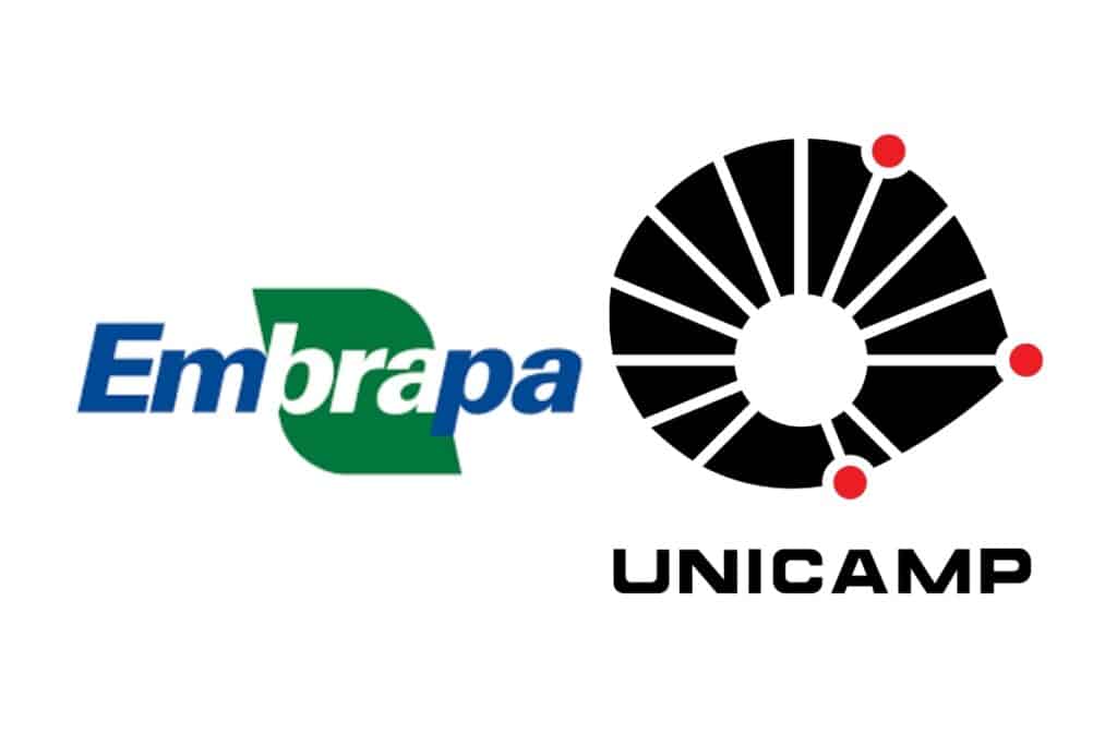Novas tecnologias podem zerar pegada de carbono do etanol, apontam Embrapa e Unicamp