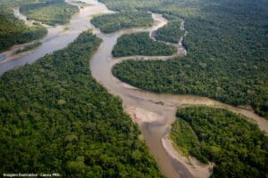 Dezesseis projetos concorrem em edital para restauração da Amazônia