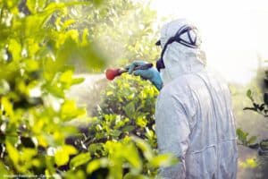 Ibama reavalia agrotóxicos com ingredientes ativos metomil e tiodicarbe