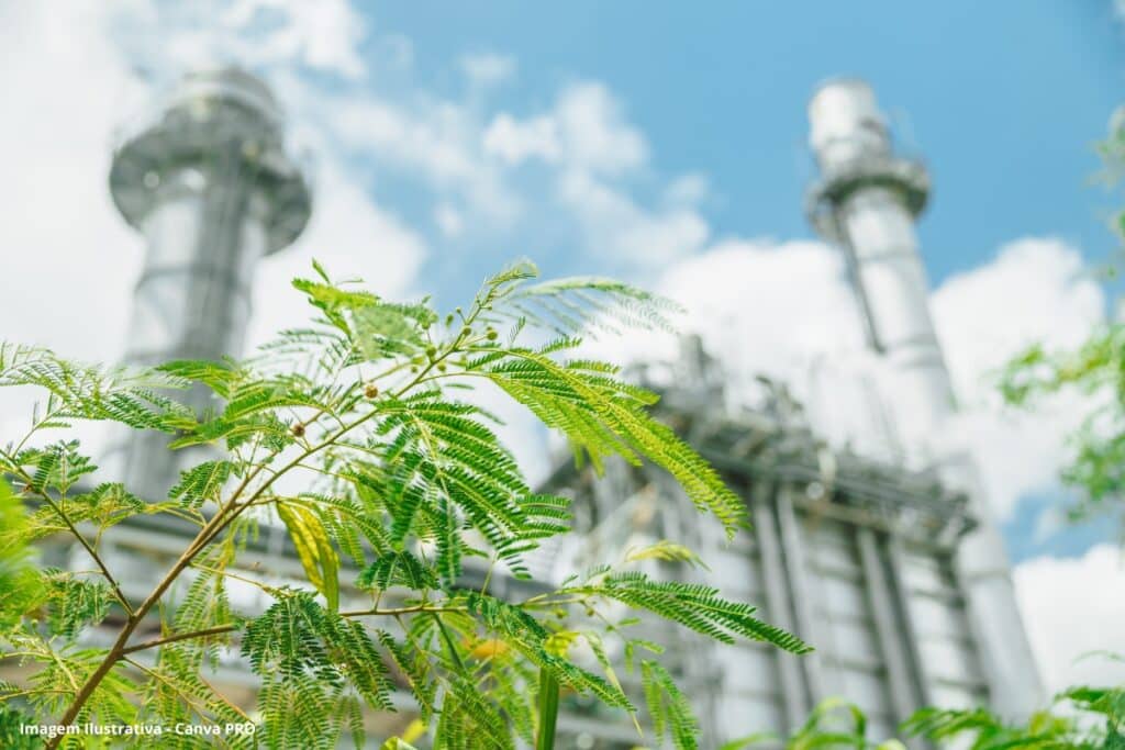 Nova licença do Ibama reaquece projeto do Gasoduto Brasil Central e viabiliza usinas térmicas (1)