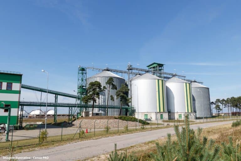 Produtividade da cana-de-açúcar dispara 26,6% e anima o mercado de biocombustível