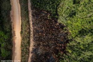 Queda do desmatamento em biomas é confirmada pelo INPE