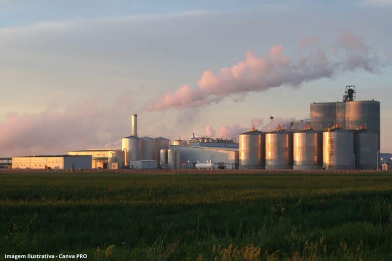 Usinas de etanol de trigo criam nova demanda para cereal no RS