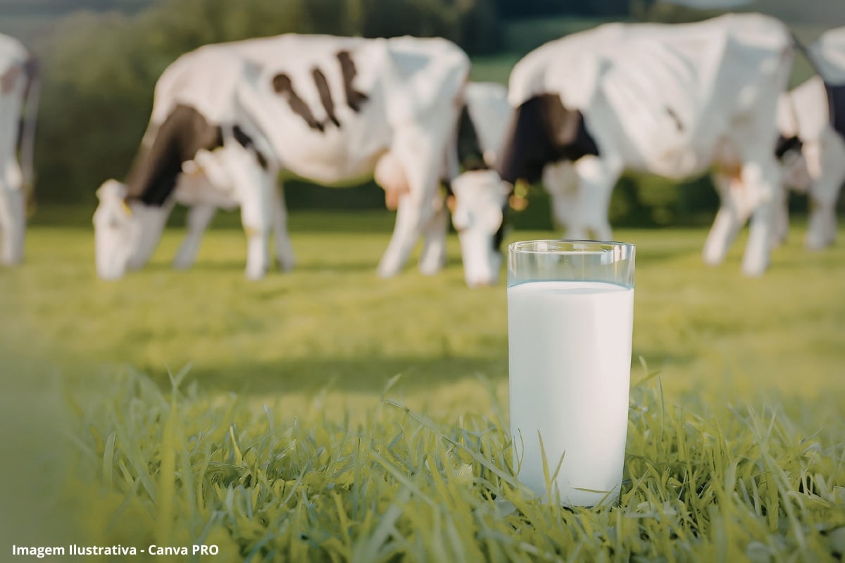 Leite produzido no Brasil tem pegada de carbono menor que a média mundial, diz estudo
