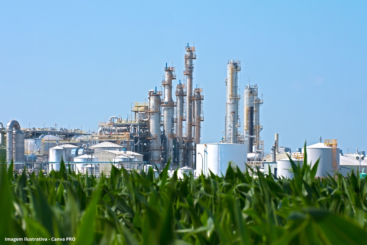 Milho avança e redefine a geografia do etanol brasileiro