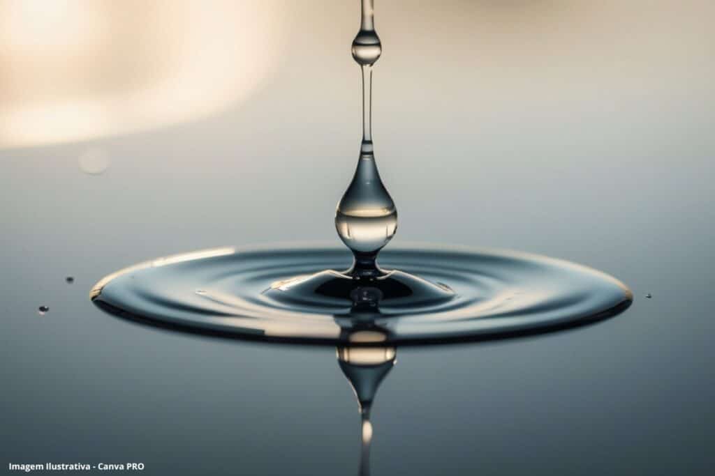 Um sistema de gestão de conteúdo técnico-científico sobre reúso de água como ferramenta de educação ambiental a experiência de uma parceria PortugalBrasil